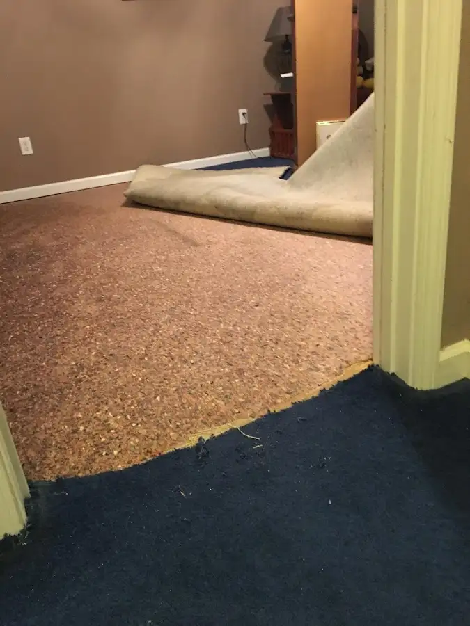 Carpet pad removal revealing water damage during Drying & Dehumidification in Framingham