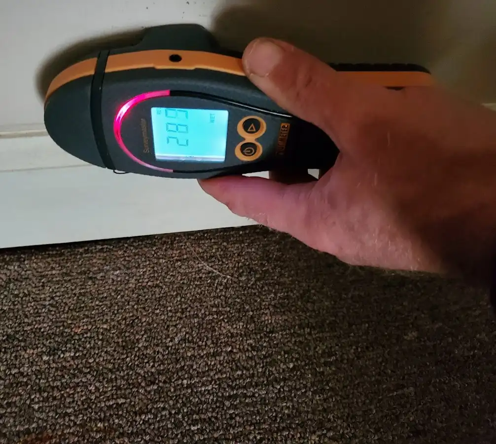 Moisture detection at baseboard during Sewage Cleanup & Sanitation in Framingham